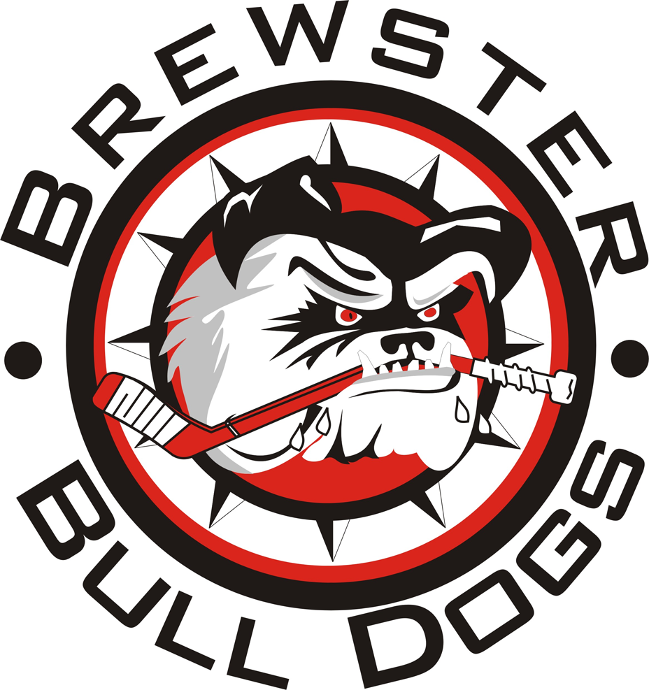 Brewster Bulldogs 2015-Pres Primary Logo iron on transfers for T-shirts